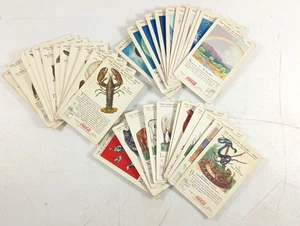 Lote de 36 tarjetas de Coca Cola World of Nature #3 - Imagen 1 de 15