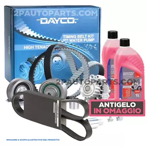KIT DISTRIBUZIONE POMPA ACQUA CINGHIA SERVIZI FIAT PANDA 141, PANDA 169 1.1 1.2 - Foto 1 di 10