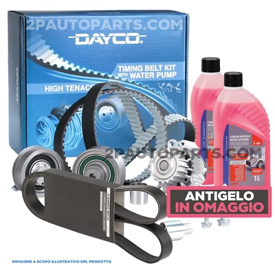 KIT DISTRIBUZIONE POMPA ACQUA CINGHIA SERVIZI FIAT PUNTO 176 188 STRADA 1.2 1.1 - Immagine 1 di 4