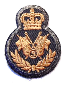 communicator  signalman Canadian Armed Forces qualification badge Level 4 signal - Picture 1 of 1