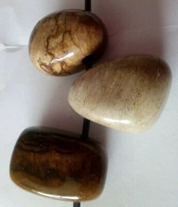 LEGNO FOSSILE Ciondolo Goccia Zodiaco Segno Fortuna Magia Silicizzato Goccia Ki - Imagen 1 de 4