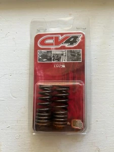 Xceldyne CV4 X2 PSIMX2001A Honda CRF250 Exhaust Spring Kit 2 pcs. - Bild 1 von 2
