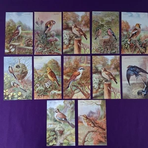 12 x Stunning Bird Postcards by J. Salmon Ltd. (Sevenoaks) Unused. VGC. 1940s? - Picture 1 of 7