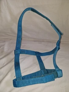 Field Safe Headcollar - PONY Size - Bright Blue - Charity Sale - Picture 1 of 4