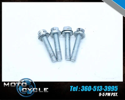 Harley Davidson Fatboy Tranny 2005 FLSTF pernos de transmisión 15 aniversario U2 Foto 1 de 2