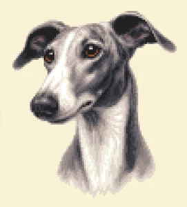 GREYHOUND CROSS STITCH dog - Full counted cross stitch kit by Jann Designs - Picture 1 of 1