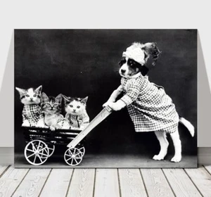 CUTE VINTAGE B&W Dog Pushing Kittens in Cart - CANVAS ART PRINT POSTER - 12x8" - Picture 1 of 1