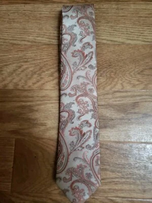 STEVE HARVEY 名人版男式领带全新 PAISLEY BEIGE 橙色装饰 — 第 1/3 张图片