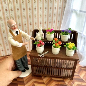 5PC Miniatures 1:12 Scale Dolls House Potted Plants Flower Garden Accessories - Picture 1 of 11