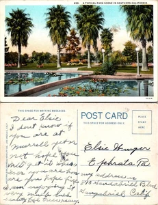 Postal del sur de California - Escena típica del parque con palmeras ~ Estanque - Imagen 1 de 1