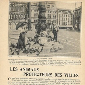 Les animaux protecteurs des villes - Article de presse 1903 - Imagen 1 de 4