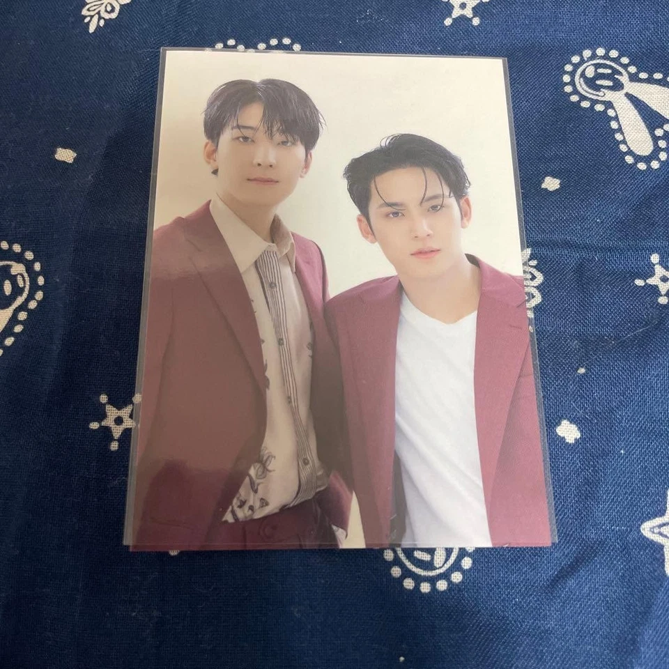 SEVENTEEN be the sun Mingyu Wonwoo Sticker - Image 1 of 1