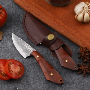 Mini cuchillo de cocina chef cocina casera barbacoa exterior herramienta de caza - Imagen 1 de 5
