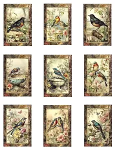 Vintage Birds B Designer MULTI-SIZE SET Cotton Fabric Quilt Block - Picture 1 of 6