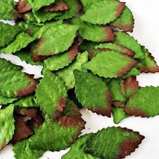 Mulberry Paper Green Tiny Leaves Scrapbooking Card Supplies DIY Lot 150 Pcs