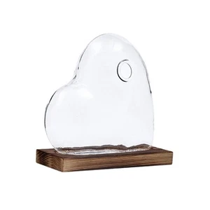 Heart Shaped Glass Vase for Hydroponic Plants & Flowers Propagation Station - Picture 1 of 7