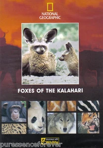 NATIONAL GEOGRAPHIC: FOXES OF THE KALAHARI (R2 DVD) (Sld) (Allison Argo) - Imagen 1 de 1