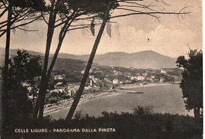 li 107 1955 CELLE LIGURE (Savona) Panorama dalla Pineta-VG Ed. Berretta - Imagen 1 de 1