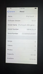 Apple A1574 iPod Touch 6th Gen 64 GB Very Good Used Fast Ship 12.5.7 IOS - Picture 1 of 4