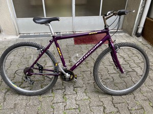 Biciclette BOTTECCHIA | Acquisti Online su eBay