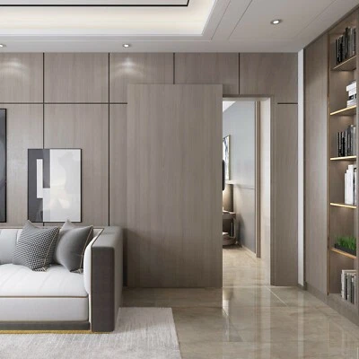 DIYHD Soft Closing Interior Wall Mount Hidden Track Floating Sliding Door Hardware