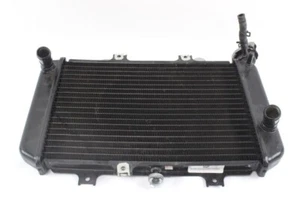 BMW G 310 GS 17118558350 RADIADOR K02 16 - 20 RADIADOR LIGERAMENTE TORCIDO - Imagen 1 de 5