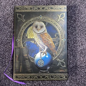 Diario de búho guardián de hechizos Lisa Parker - 160 páginas en blanco sin forrar - Imagen 1 de 8