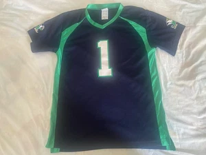 Youth Notre Dame Fighting Irish Football Jersey Size Large 12/14 Proedge EUC - Picture 1 of 7