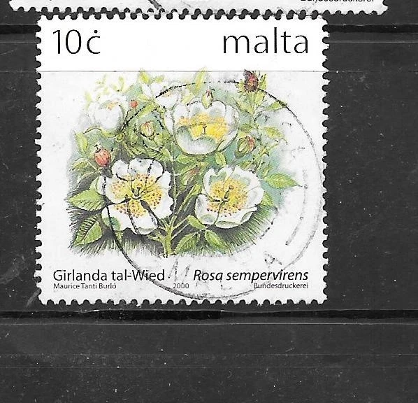 MALTA SC#1024 2000 花二手 VF 旧纪念单张邮票 — 第 1/1 张图片