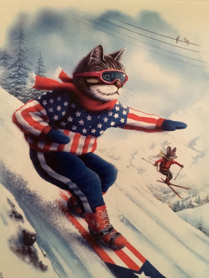 Gato y ratón en esquís.   Sudadera Tallas/Colores Foto 1 de 1