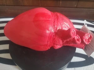 Corazón Humano Halloween utilería parte del cuerpo órgano broma mordaza 8" Loftus espuma de goma nuevo - Imagen 1 de 16