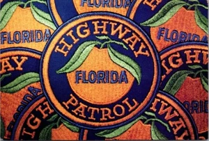 Parche postal de Florida Highway Patrol 4x6 - Imagen 1 de 2