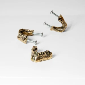 Brass Jaw Cabinet Handle – Anatomical Brass Furniture Pull – Unique Gothic Decor - Picture 1 of 16