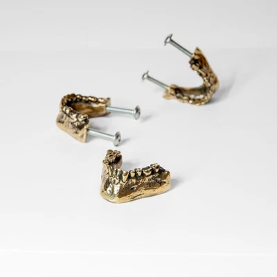 Brass Jaw Cabinet Handle – Anatomical Brass Furniture Pull – Unique Gothic Decor - Image 1 of 4