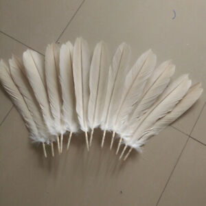 Rare white eagle tail feathers 1 set (12 pieces) 40-45cm long rare tail feather