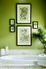 Fond d'écran de salle de bain - vinyle vert lisse épais - 583992 - - Sans correspondance chaux ordinaire
