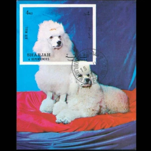 SHARJAH MINI-SHEET SINGLE IMPERF 1972 POODLE DOG - Picture 1 of 1