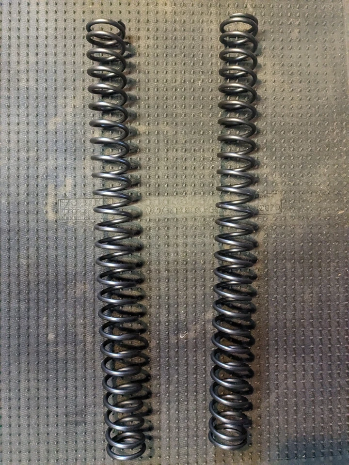 Husqvarna FE 450 350 250 500 501 2018 muelles de horquilla Foto 1 de 1