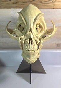GREY ALIEN SKULL w/stand  ~  Hard to Find! Made in the USA - Picture 1 of 7