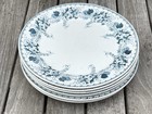 6 Assiettes Plates BFK Terre de Fer Modèle Lucien