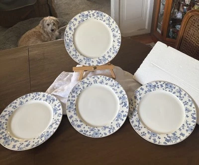 Grace Teaware Porcelain Set/4 Blue Floral Border/White 10” Dinner plates Nice! - Image 1 of 3