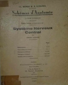 Anatomiemuster 9. Heft: Zentralnervensystem | Guter Zustand - Bild 1 von 1