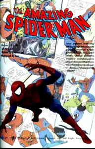 6" Spiderman Crouching Comic Version Movie Vinyl Model Kit 1/6 - Picture 1 of 2
