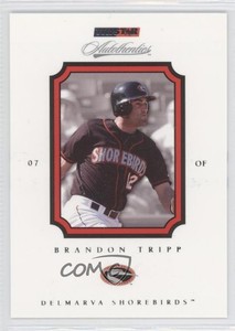 2007 TRISTAR Autothentics Brandon Tripp #13