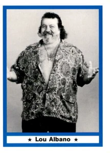 1991 Imagine Wrestling Legends (Pick Card From List) C137 09-24 - Picture 1 of 3