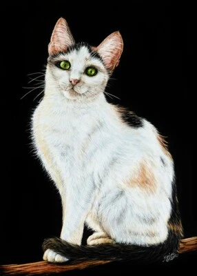 SALE * Original CAT Scratchboard Art CALICO Kitten Painting Feline Pet Portrait - Image 1 of 2