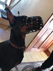 Leichter Leder Hundemaulkorb Dobermann Pinscher und ähnliche Schnauzen - Bild 1 von 14
