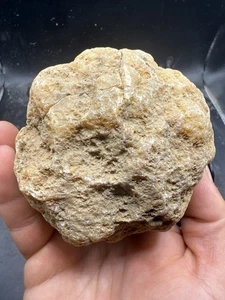 Fossilized Indiana Geode Quartz Crystal Whole 3,275 Carats Agate - Picture 1 of 4