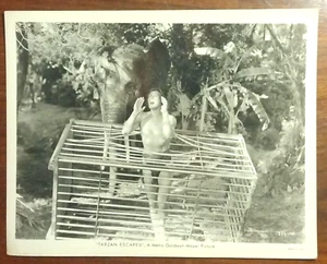 "Tarzan Escapes" Johhny Weissmuller ~ Original 1936 8x10 MGM Publicity Photo - Picture 1 of 2