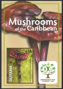 Guyana 2011 Mushrooms/Fungi/Nature/International Forests Year 1v m/s (n40852) - Picture 1 of 1